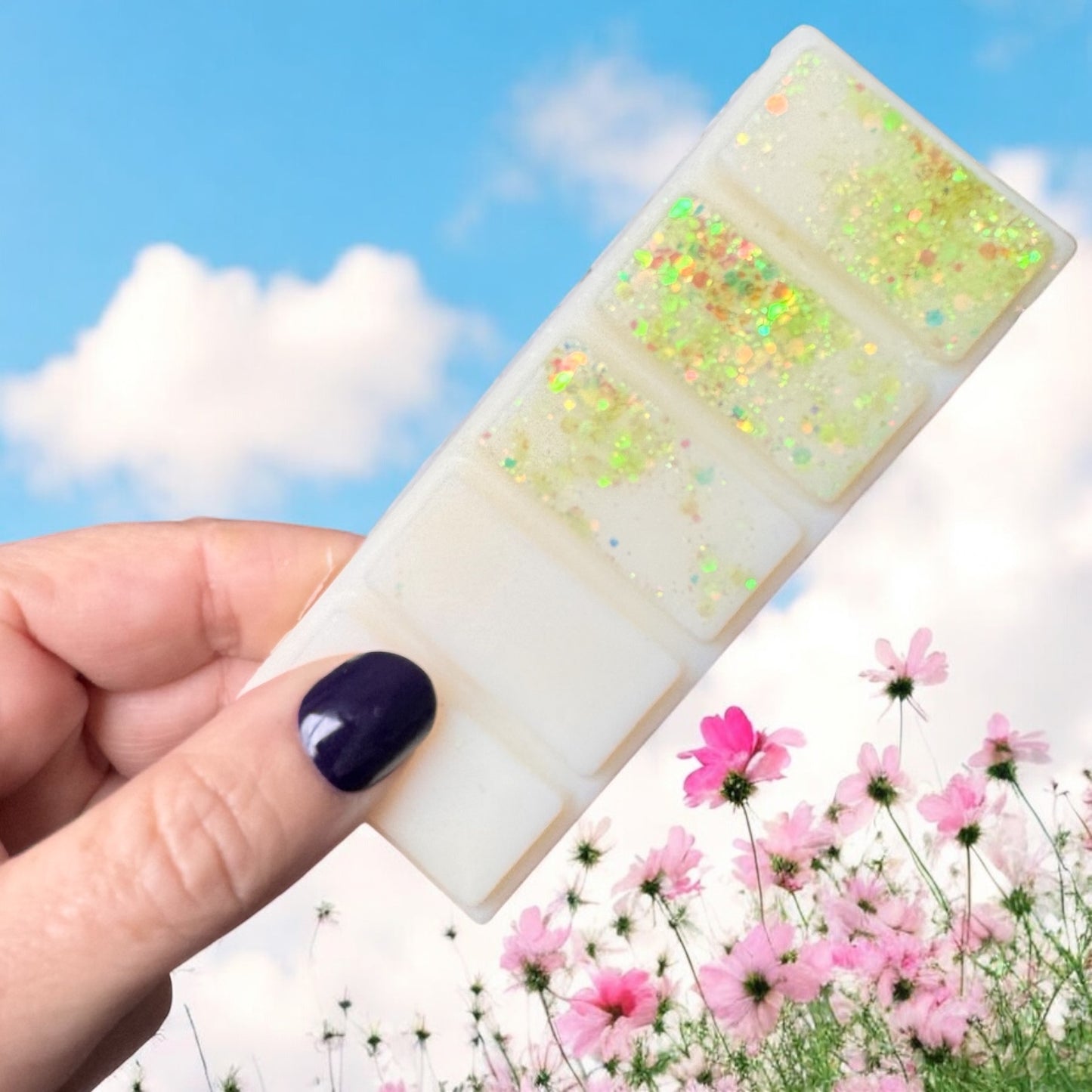 Wicked Wax Mystery Box – 10 Snap Bars