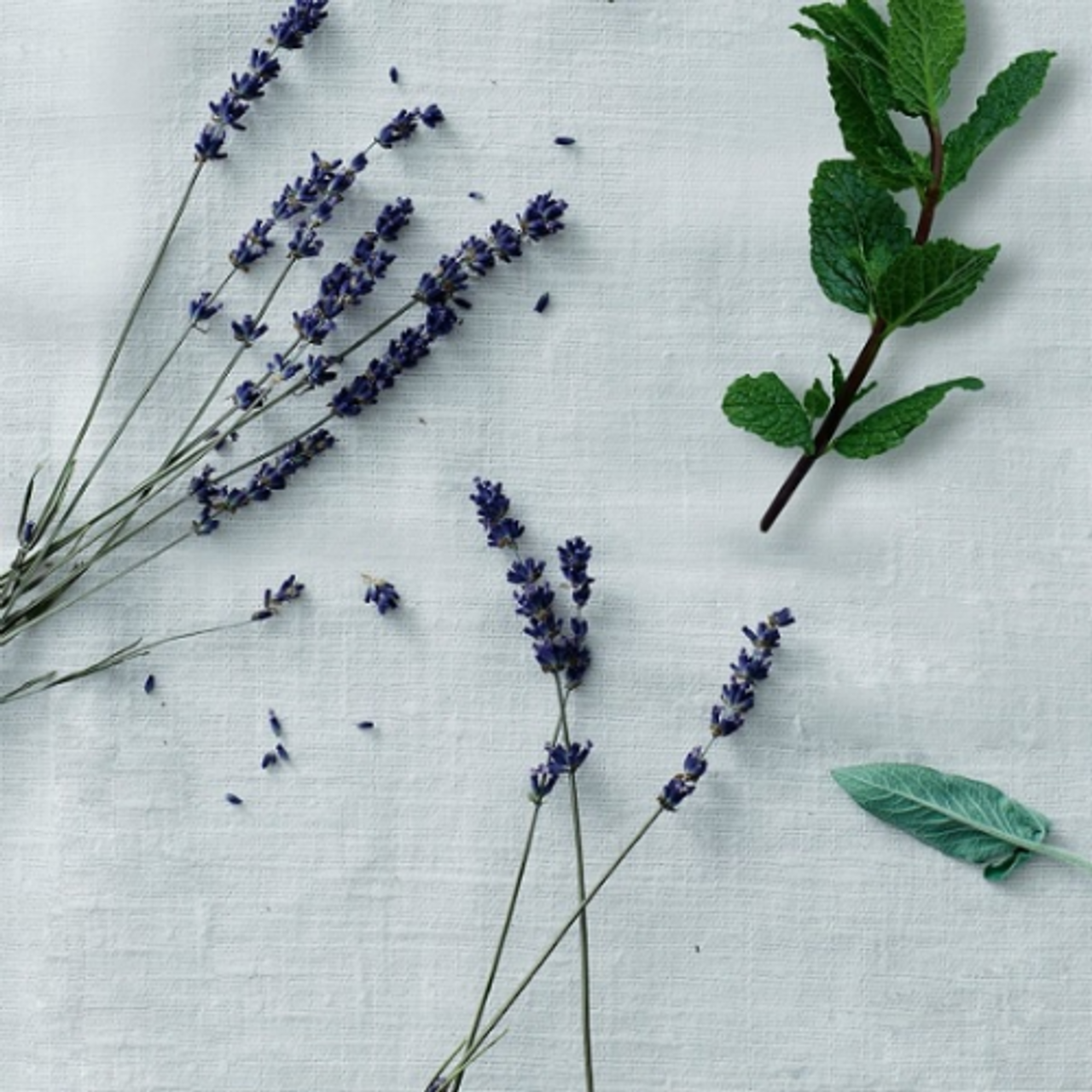 White Lavender Snap Bar Wax Melt