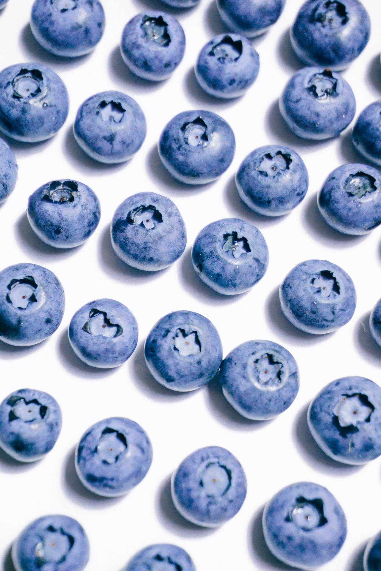 Blueberry Fairy Snap Bar Wax Melts